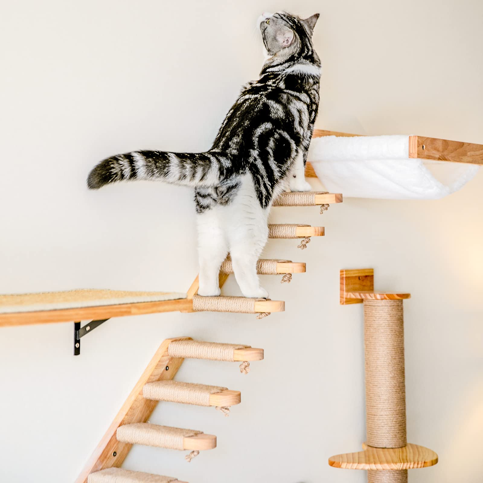 FUKUMARU Kletterwand für Katzen, Katzentreppe Wand, Wandliege aus Massivem Gummiholz, für Katzen bis 15 kg, mit Juteseil zum Kratzen, 40cm