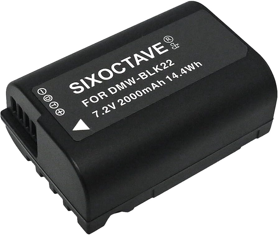 パナソニック GH5 バッテリー5個　純正ビデオライト　ペリカンケース他 パナソニック GH5 バッテリー5個 純正ビデオライト ペリカンケース他