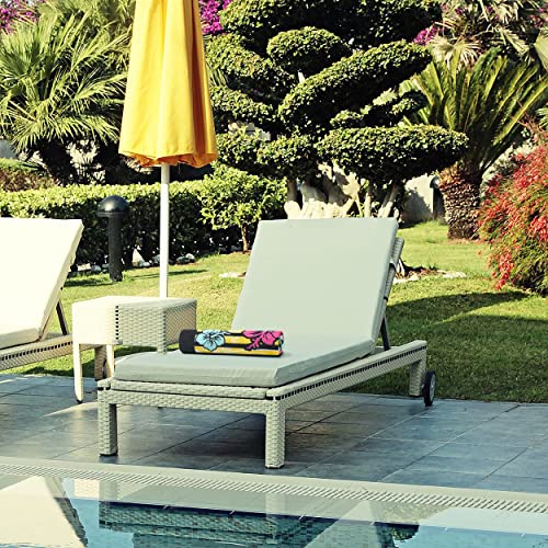 Juicy Couture 100% Cotton Extra Large Beach Towels Oversized Clearance, Pool Towels, Bath Towels - Lightweight & Quick Dry - 36" X 68" (1 Pack) - Pink Flamingo Stripe Pattern Adults Towel #TOP4