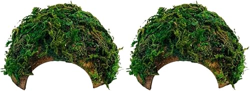 Balacoo Caja de 2 piezas de reptil escondite casa reptil ocultar cueva acuario tortuga muelle ermitaño cabaña cangrejo barbudo dragón terrario