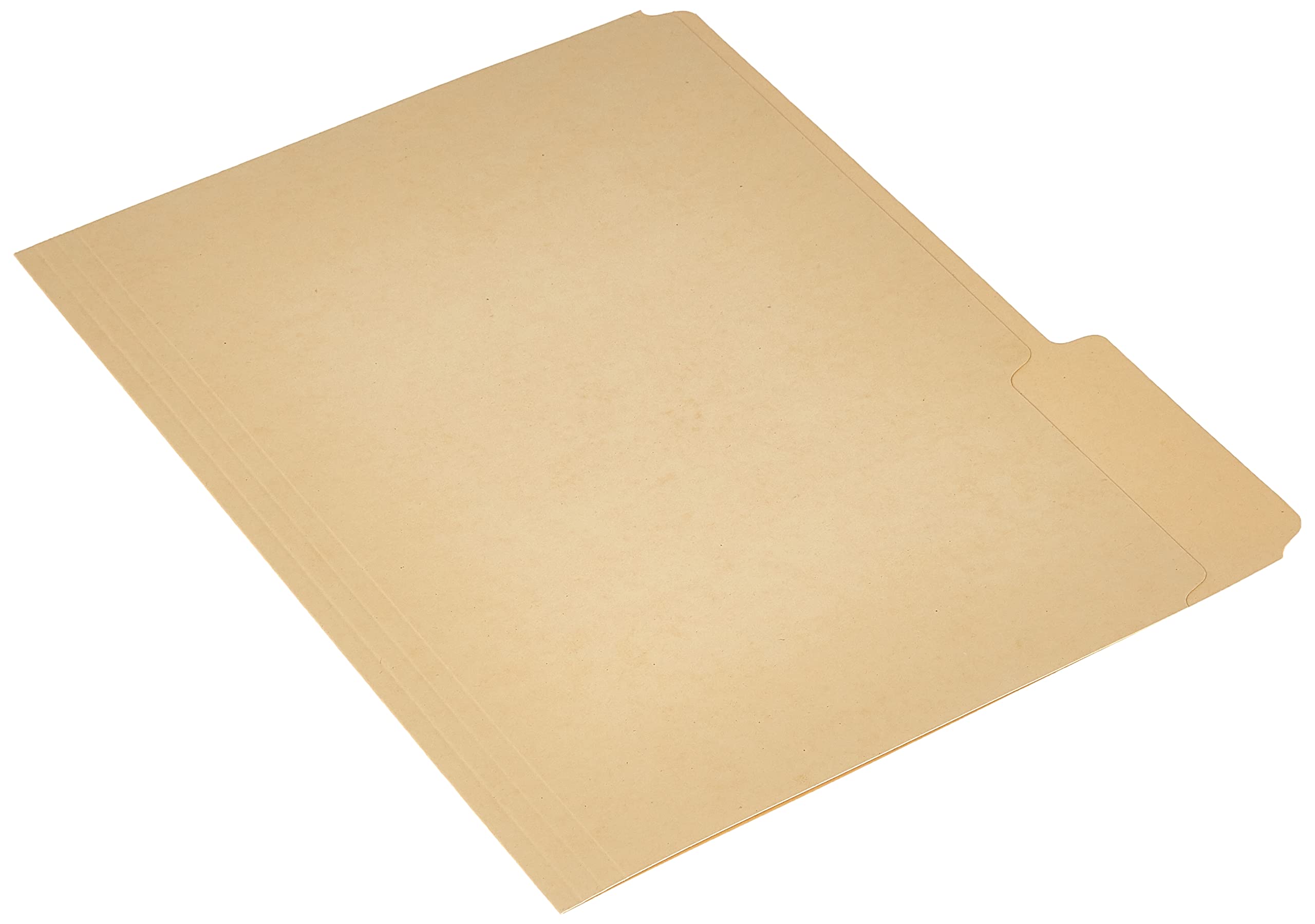 EarthWise by Pendaflex - Cartelline 100% riciclate, formato lettera, taglio 1/3, 100 per confezione Formato Letter Letter Verde standard.