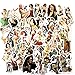 Produktbild N/D Cartoon Stickers, sexy Beauty Girl Stickers Pack, Beautiful Women Hipster Graffiti Funny Stickers, DIY Skateboard Motorcycle Luggage Stickers 50PCS