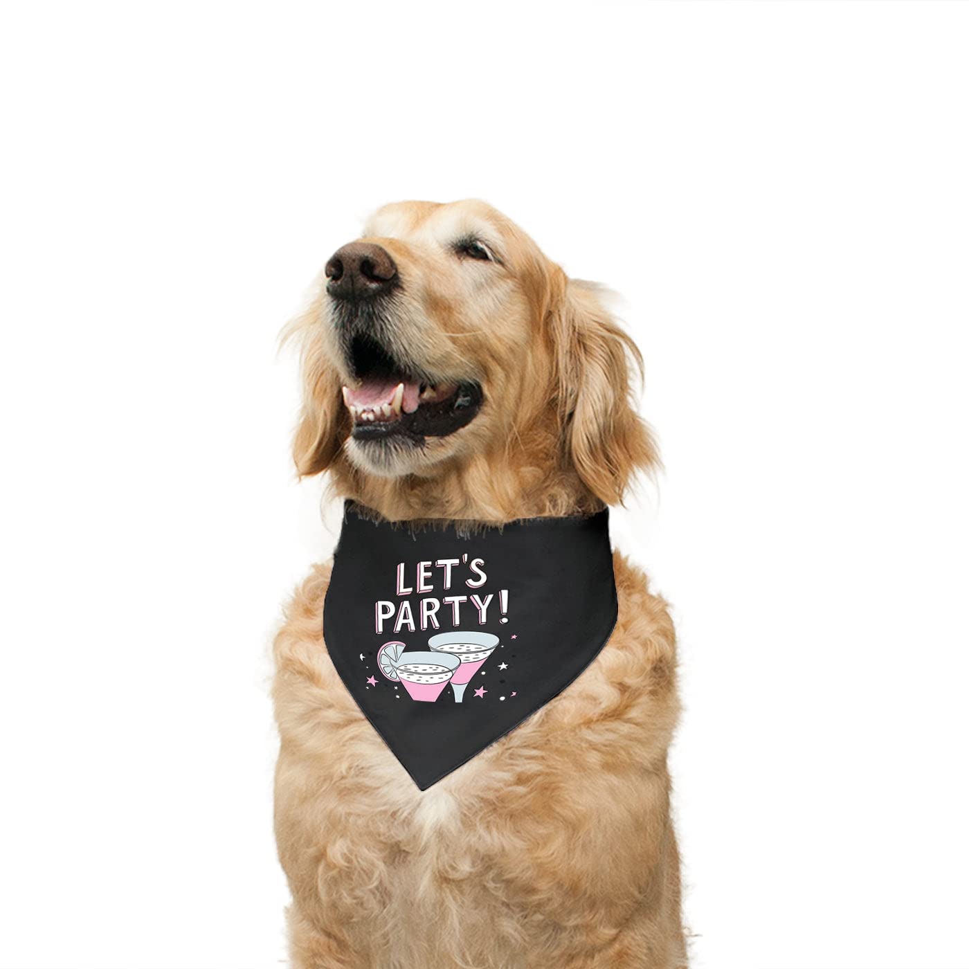 Ruse Reversible Dog Bandana Lets Party Printed 100% Cotton Black and Black-Berry Striped Dog Scarf/Dog Gift Adjustable Snap Button for Dogs/Medium (B09RSWK7V4) Amazon Price History, Amazon Price Tracker