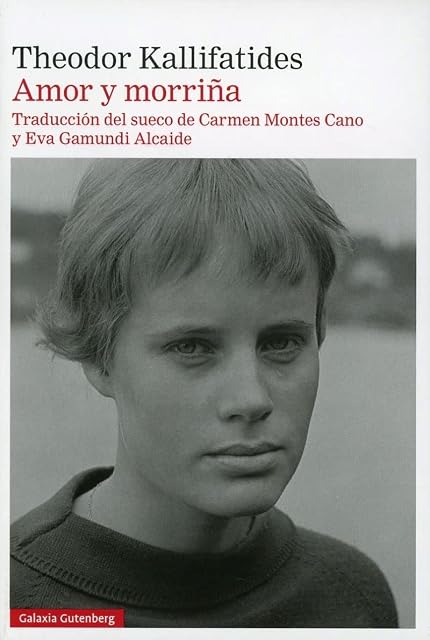 Portada de Amor y morriña