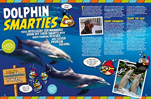 Angry Birds Explore the World!: Packed with Animals, Fun Facts, Games, Maps, and More! - Image 3