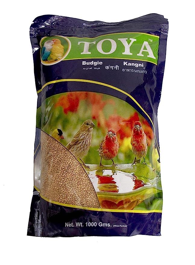 Buy Gaurvi Enterprises Toya Budgie Bird Food 1000Gm (Kangni) Natural & Healthy Premium Mix