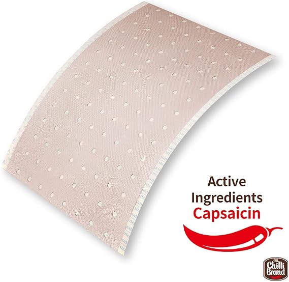6 Astrapharm Chilli Brand External Medicted Plaster