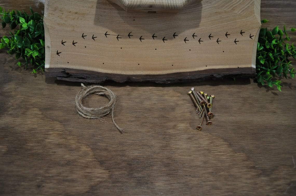 Turkey Fan Plaque/Turkey Mounting Kit/Turkey Hunting Turkey Fan and Beard Mount/Turkey Fan Mount And Display Kit/One Of A Kind Turkey Fan Mount Turkey Fan And Wing Mount