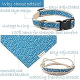Hundehalstuch mit Halsband und Freundschaftsarmband von Pettsie, Verstellbare Größen S, M, und L, Abnehmbares Bandana Tuch, Inklusive, Hundeliebhaber, M, Blau