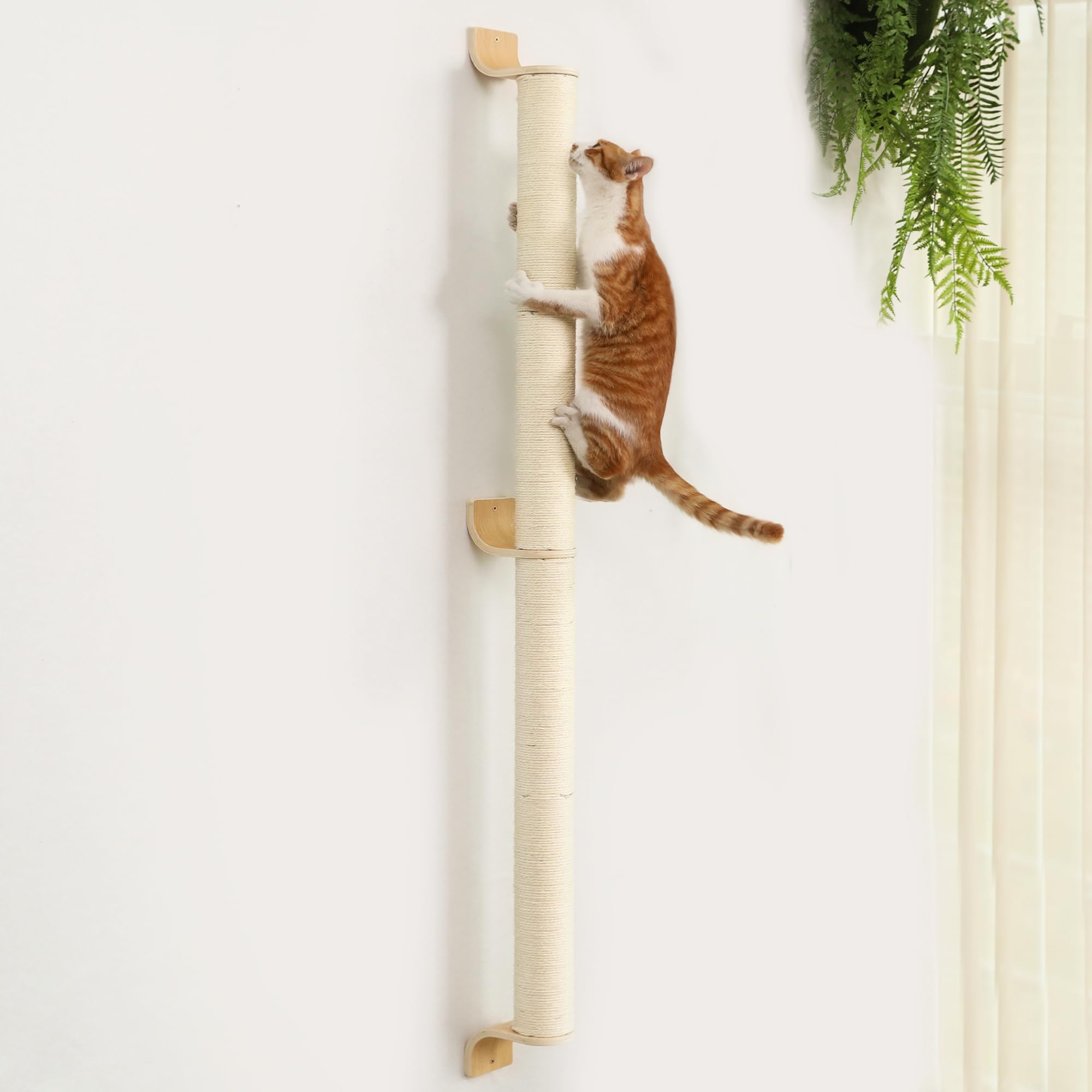 FUKUMARU Cat Wall Scratcher, 60" Tall Wall Mounted Kitten Scratching Post, Sturdy Sisal Climbing Tree for Indoor Large Cats