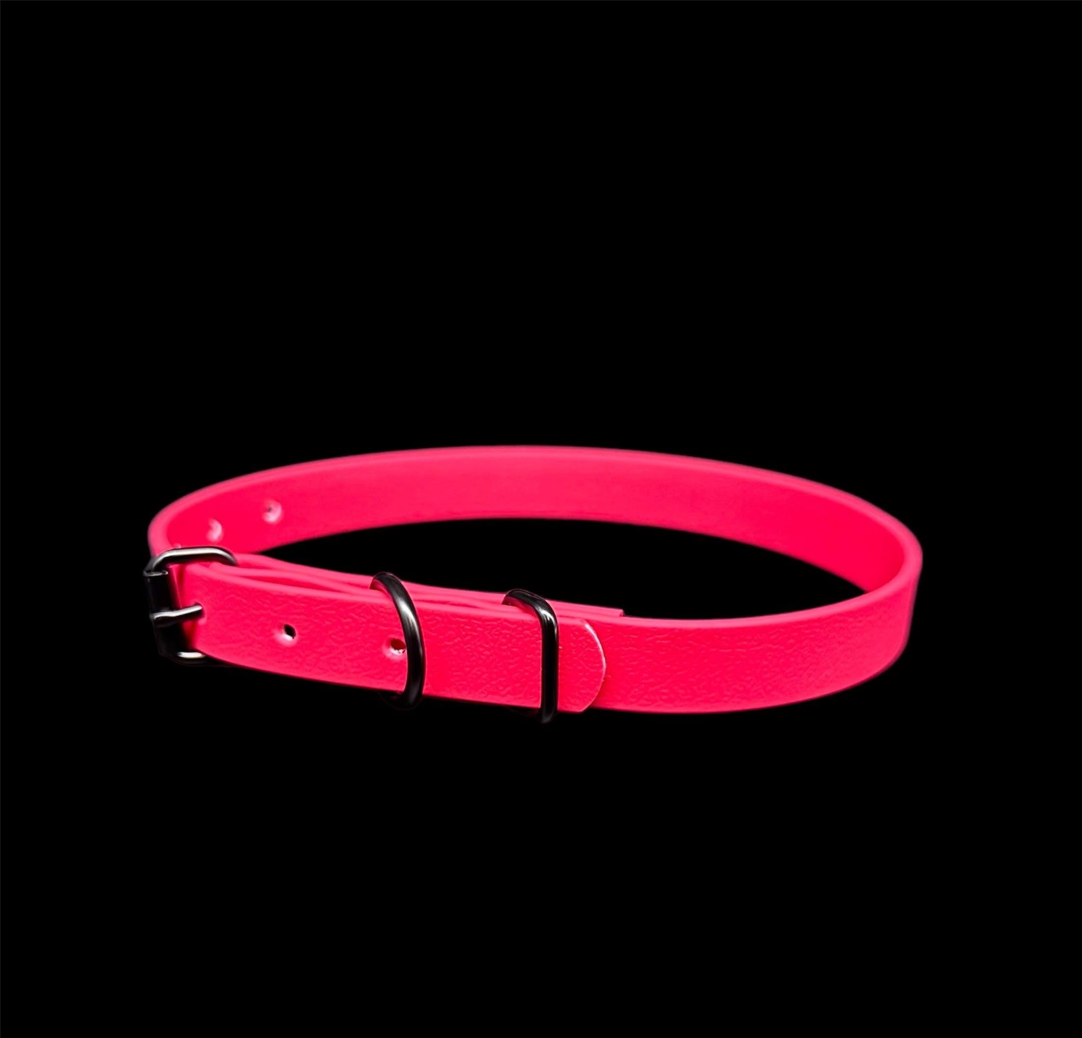 Waterproof Biothane Dog Collar | Metal Buckle | Black Rivets | Ultra Durable