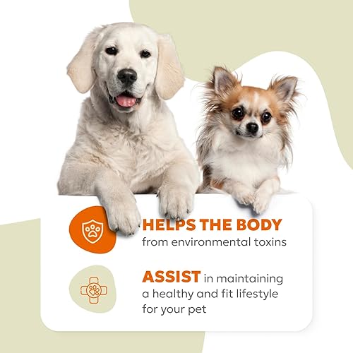 Miniatura 7 de Masticables suaves 10 en 1 para perros, apoyo avanzado para articulaciones, digestión, inmunidad, piel y pelaje, energía, músculos, huesos,