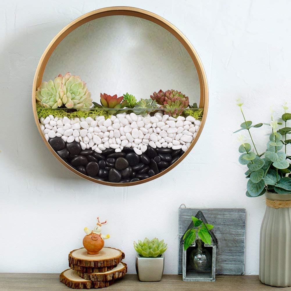 Wisząca okrągła doniczka na kwiaty 2 w 1 wazon ścienny i terrarium metalowa i szklana pionowa donica na rośliny powietrzne dekoracja wnętrz nowoczesny złoty design