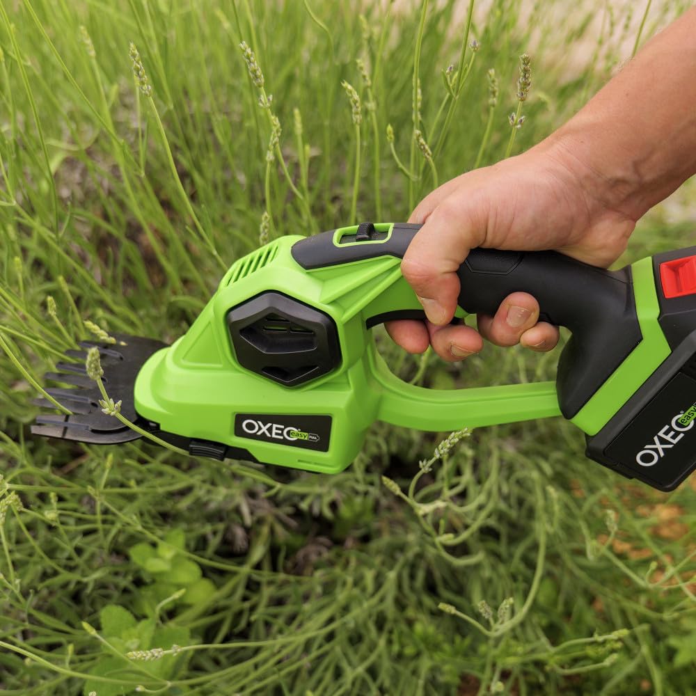 Cisaille à gazon - sculpte buisson taille haie sans fil 2en1 18V - 2 lames - Avec batterie 4Ah et chargeur super rapide 4A