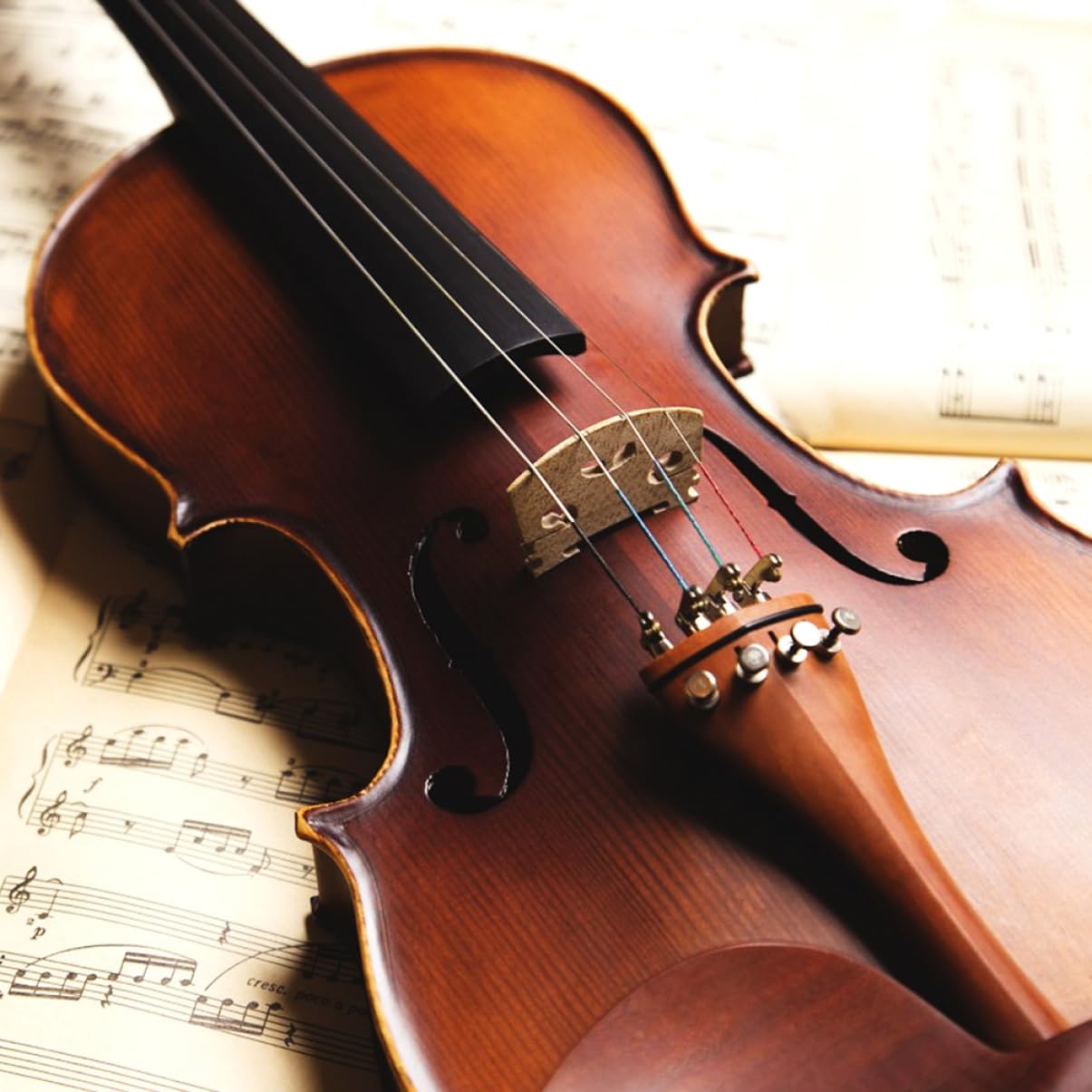 ifundom Violin Strings Replacement Set 8pcs E-a-d-g Full Set Strings for Violin Accessories