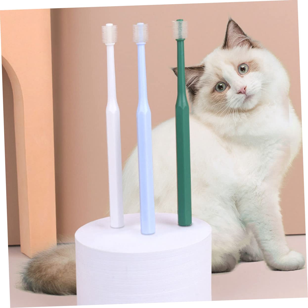 POPETPOP 12pièces Brosse à Dents Pour Animaux De Brosses à Dents Manuelles Avec Poils Souples Pour Chat Et Chien Nettoyage Buccal Confortable Et Tête Petite Pour Accès Facile Aux Zones