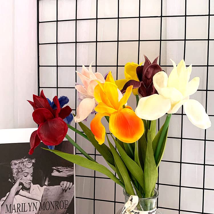 View 8