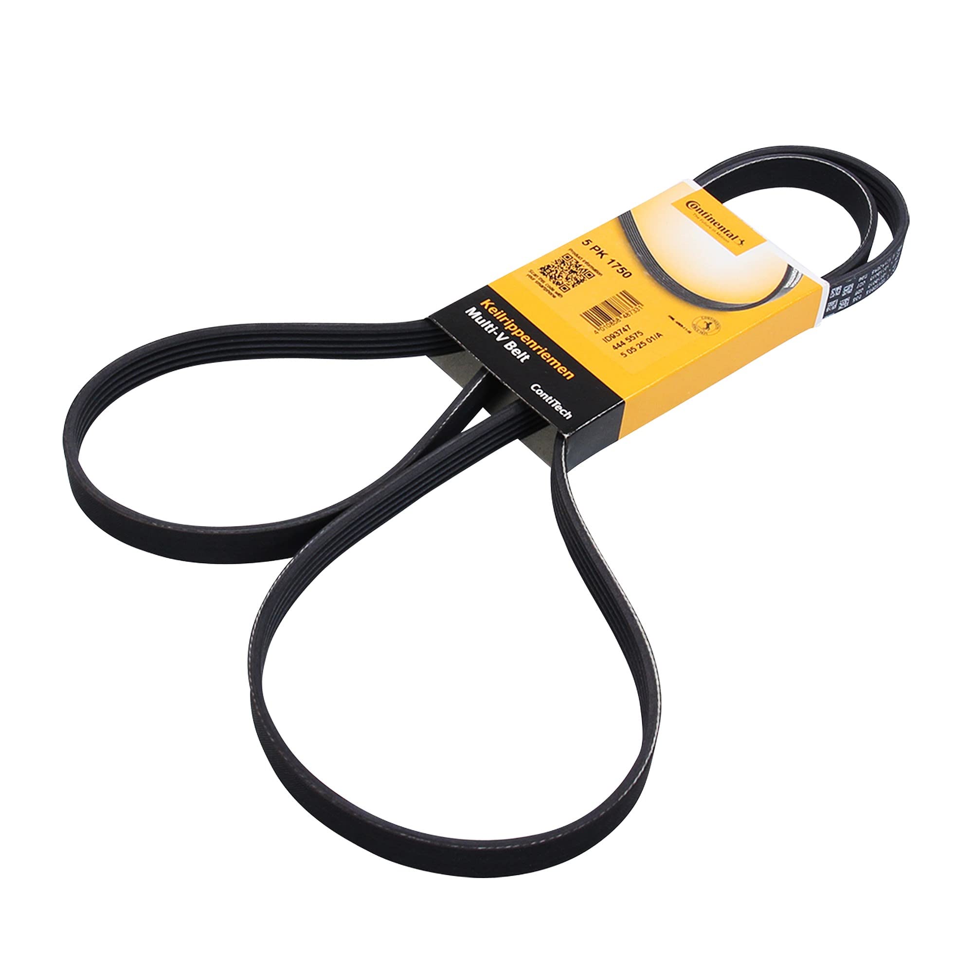 Contitech 5PK1750K1 Kit Courroie Multi V Continental