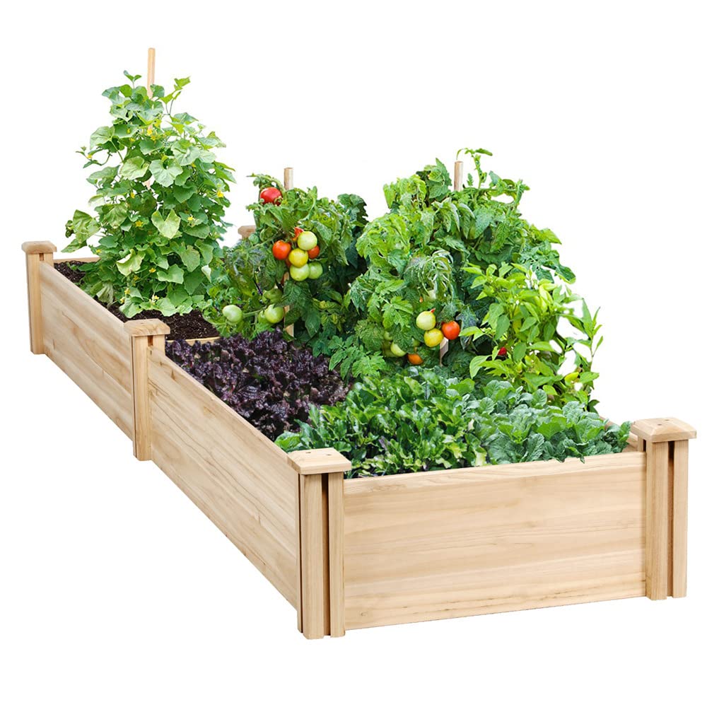 Fioriera rialzata in Legno per orto e Giardino, per Verdure ed Erbe aromatiche - Grande Soluzione per Il Giardinaggio all'aperto, 96,7" x 24,6" x 10,6"