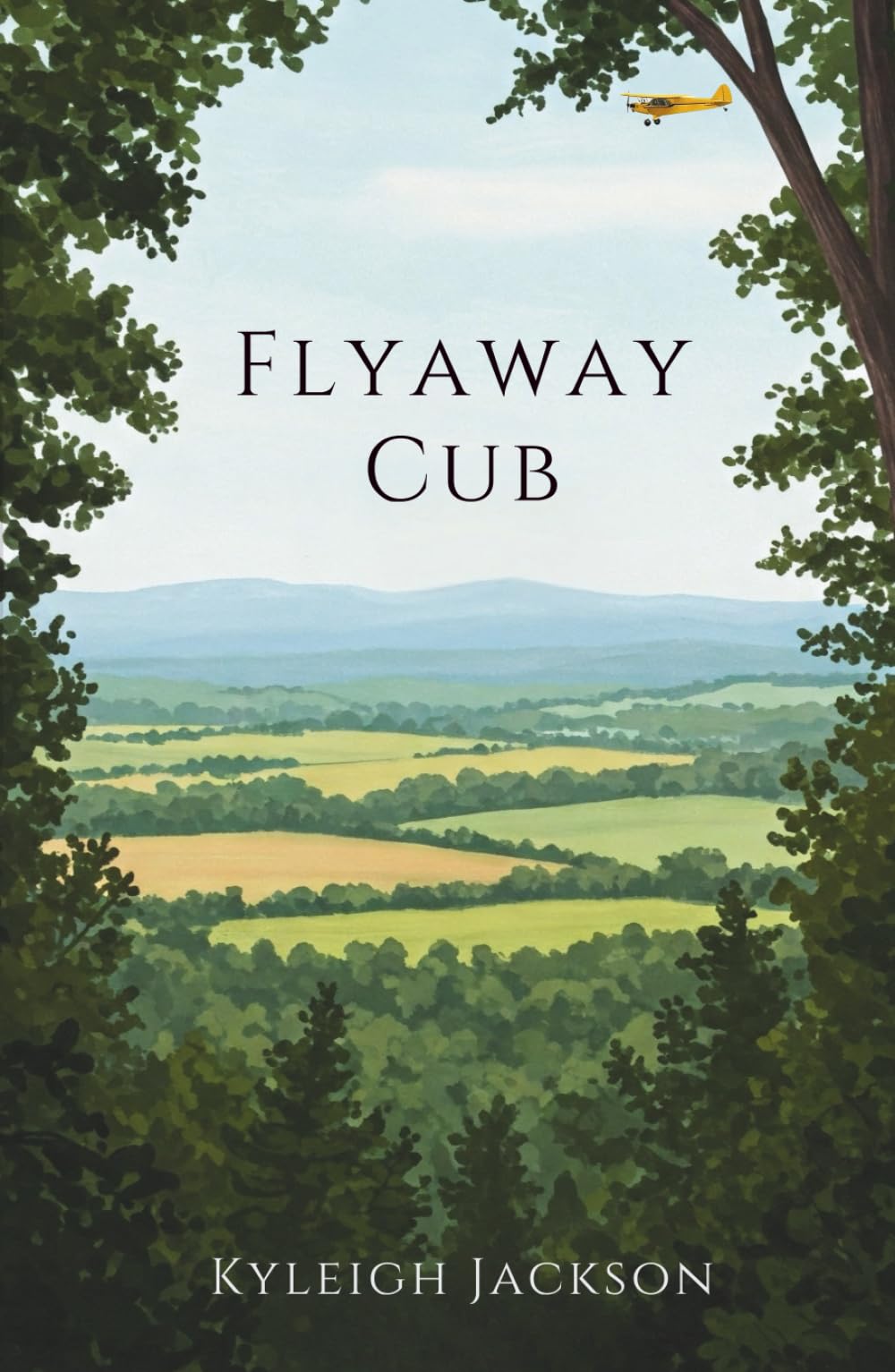 Flyaway Cub Hardback Edition: Hardcover Edition