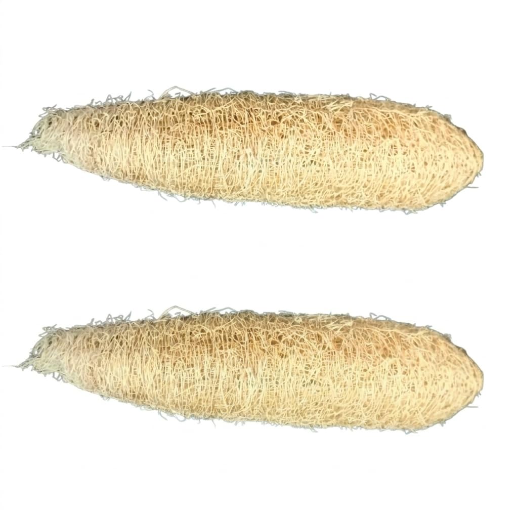 Natural Loofah Sponge for Bath & Body Scrubbing | 100% Organic Luffa Exfoliating Sponge | Eco-Friendly Shower Scrubber for Skin Care & Cleaning (Pack of 2)-image-26