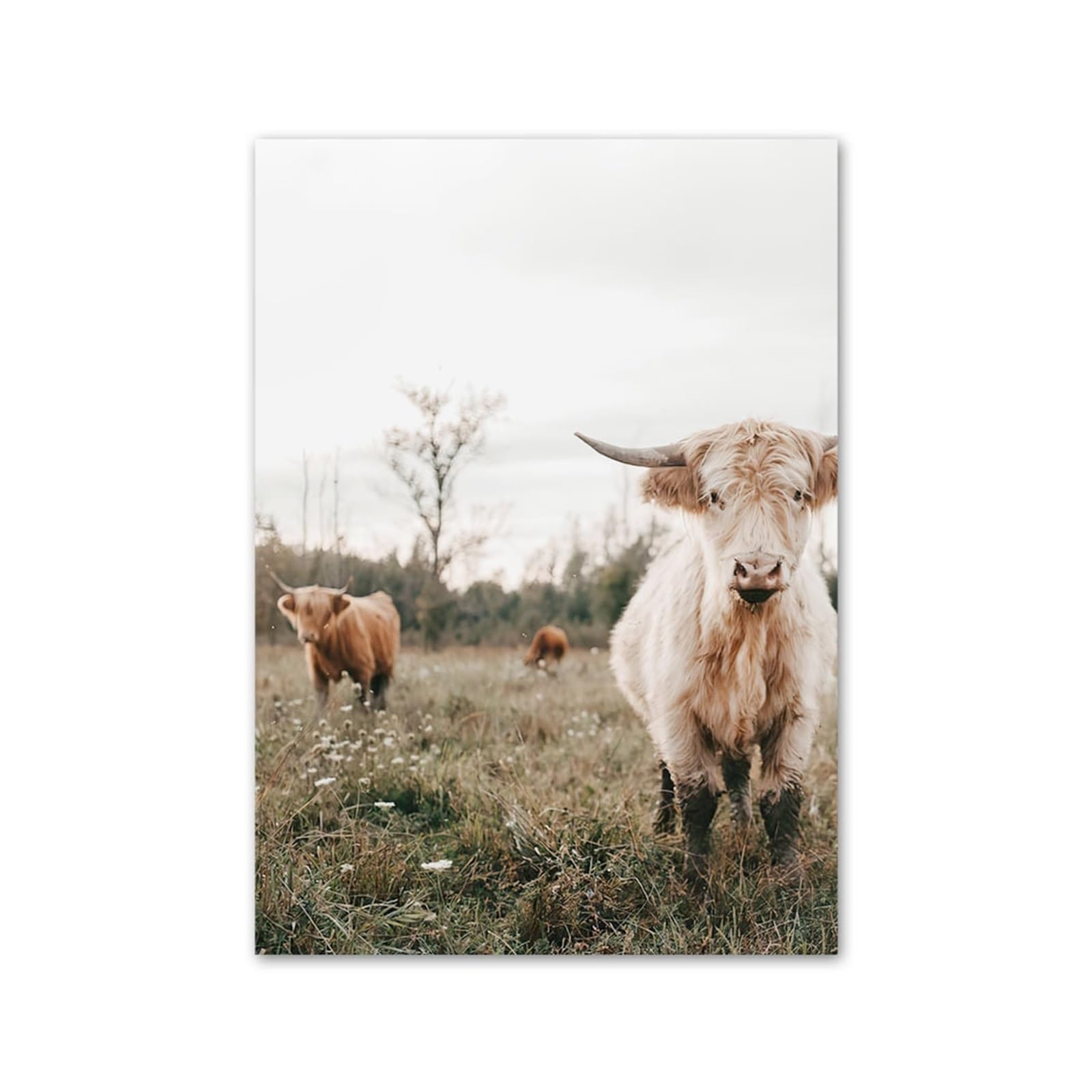 1pc Farmhouse Highland Cow Wall Art Neutral Animal Prints Grass And Sand In Hands Posters For Living Room Decor(G,A4 21X30cm No Framed)