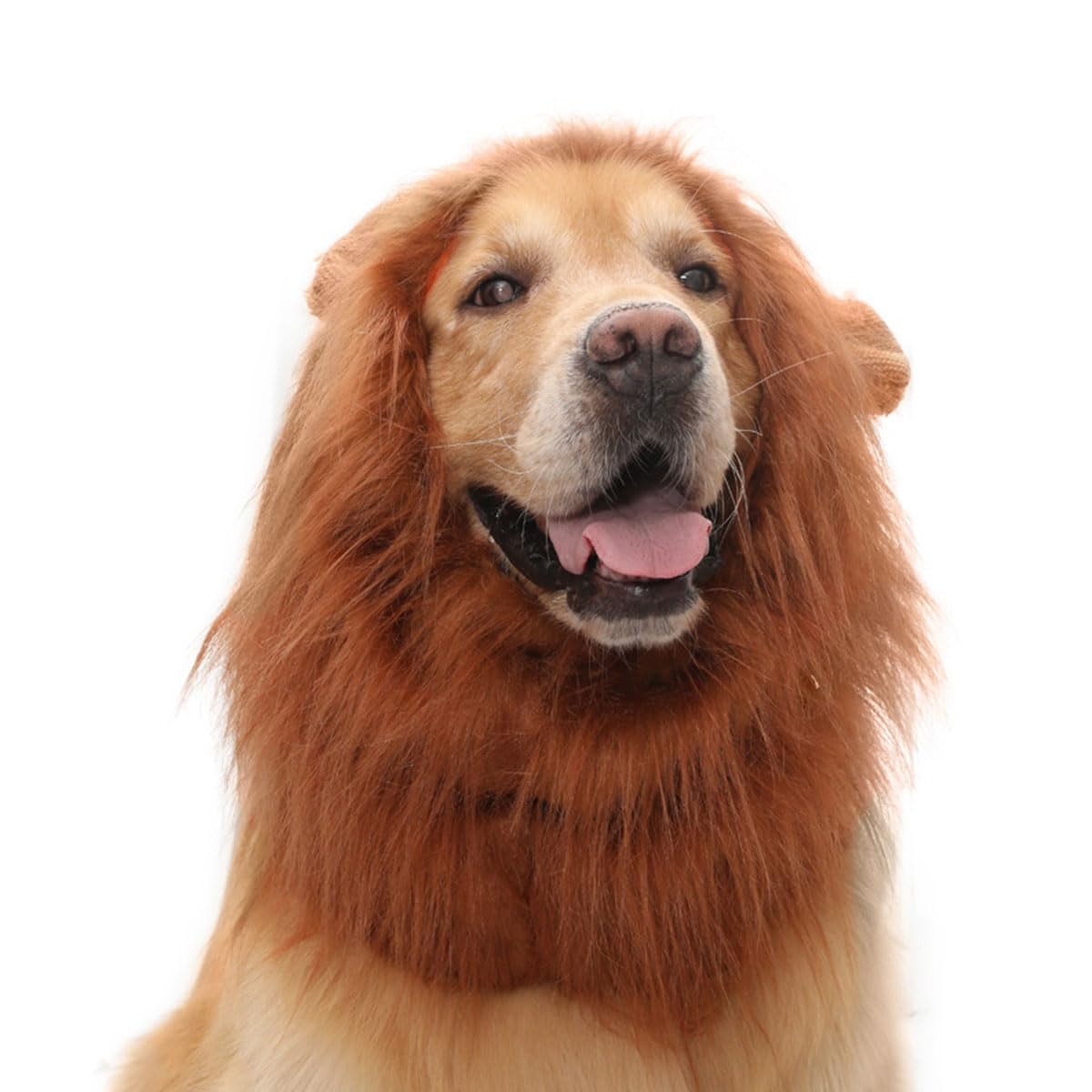 EHOTER Dog Lion Mane Costume Lion Mane for Dog Wig Adjustable Dog Halloween Costumes with Ears Dog Lion Mane Costumes for for Medium and Large Dogs Dog Halloween Costume (L,Dark Brown)