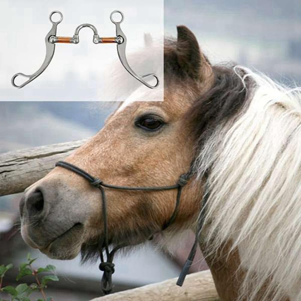 Orton Morso in acciaio inossidabile Morso per cavalli Morsi occidentali Snaffle Attrezzatura per addestramento per cavalli per allenamento della bocca Bit con porta in rame