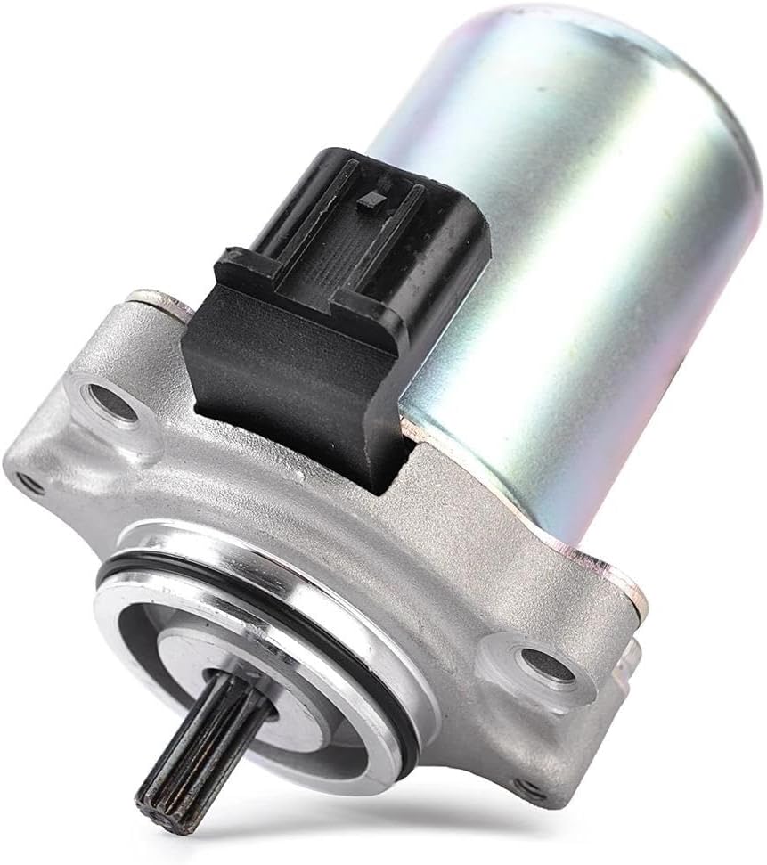 豊臣八方金 小判 古銭 アンティーク品 古物 コレクション 天保小判金