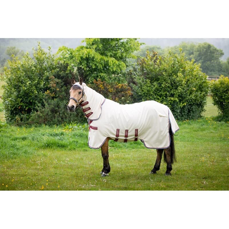 Horse-friends Fliegendecke Sintra - Fliegendecken - - Passion