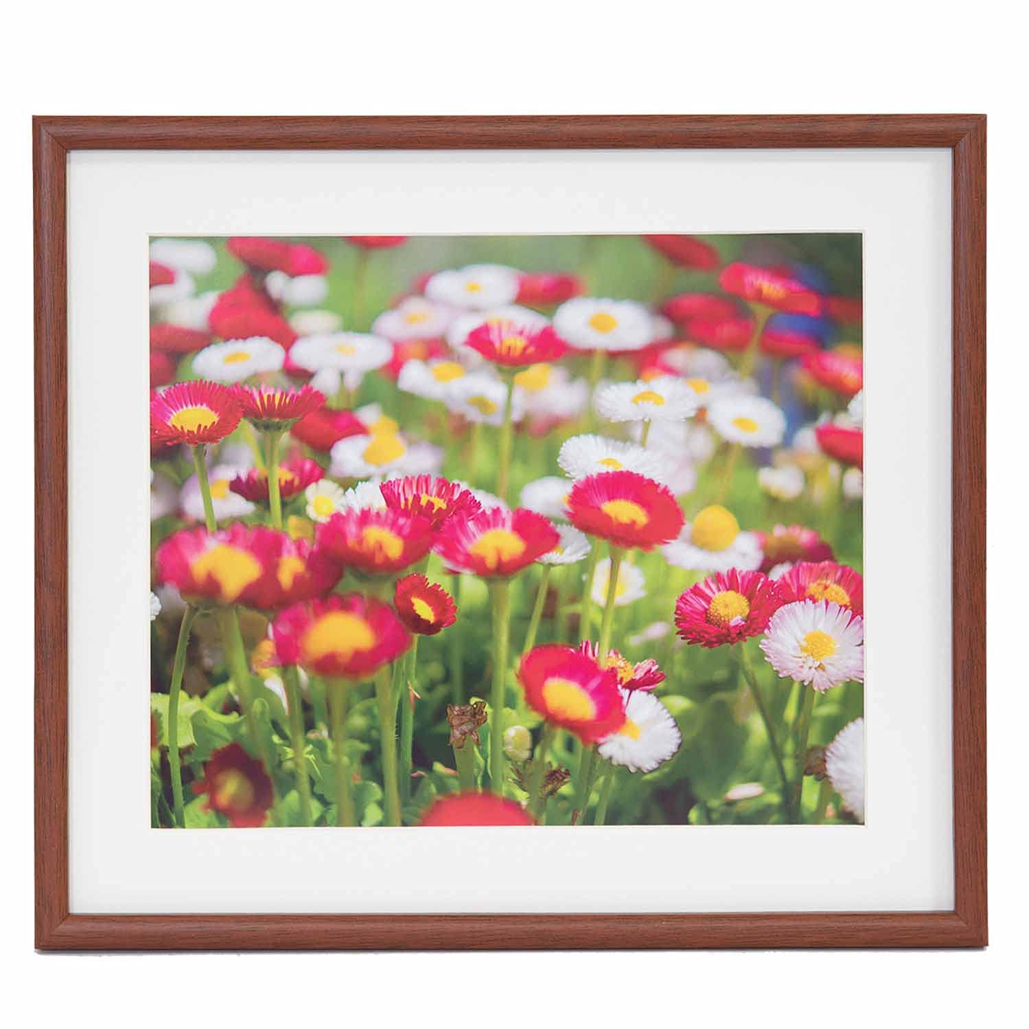 フジカラー FUJICOLOR 木製額縁 M21 4切　ブラウン 9個セット Amazon | FUJICOLOR 木製額縁 M21 4切 ブラウン 407895 | 額縁