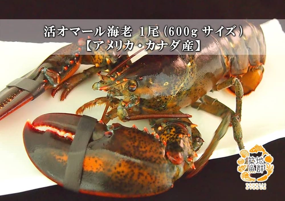 ブロンズ　海老　ロブスター　紙鎮　置物　在銘　約476g　M　R8551 ブロンズ 海老 ロブスター 紙鎮 置物 在銘 約476g M R8551