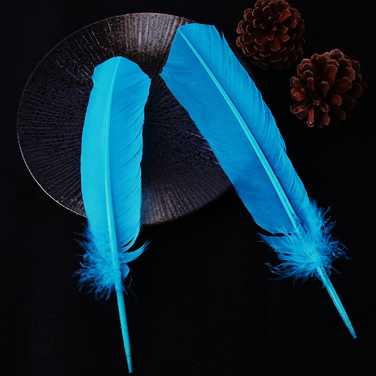 Amazon.com: 24Pcs Lake Blue Turkey Feathers 10~12 inch,Bulk Long