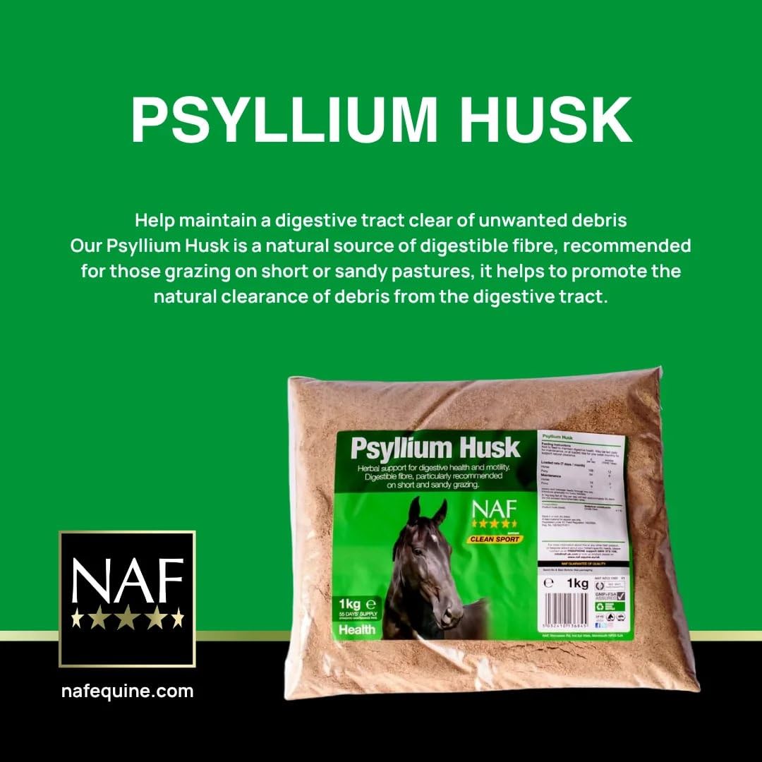 NAF Flohsamenschalen-Pulver 1 kg – Verdauungsunterstützung für Pferde & Ponys | Natürliches Ballaststoff-Ergänzungsfutter zur Sandausscheidung & Darmgesundheit auf sandigen Weiden