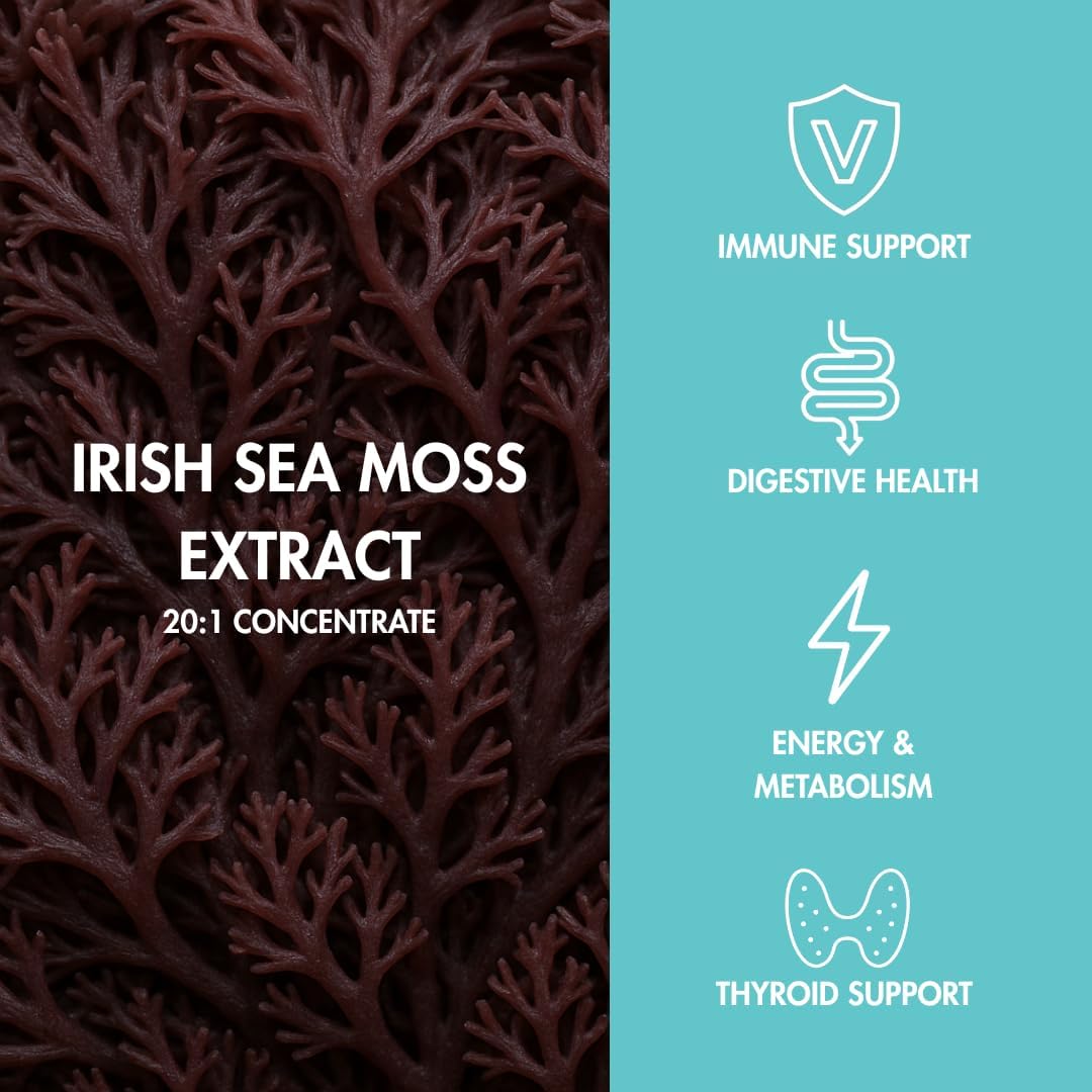 Perform Gummys - Irish Sea Moss - with Burdock Root & Bladderwrack for Natural Energy, Digestive & Immune Support - Delicious Berry Bliss, Vegan, 60 Count