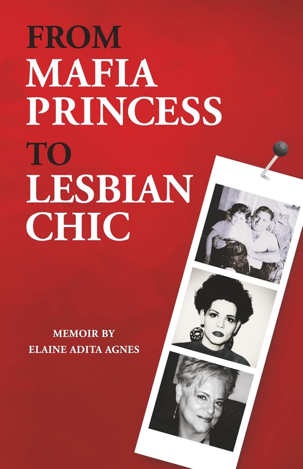 From Mafia Princess to Lesbian Chic Agnes, Elaine Adita 9781965971253