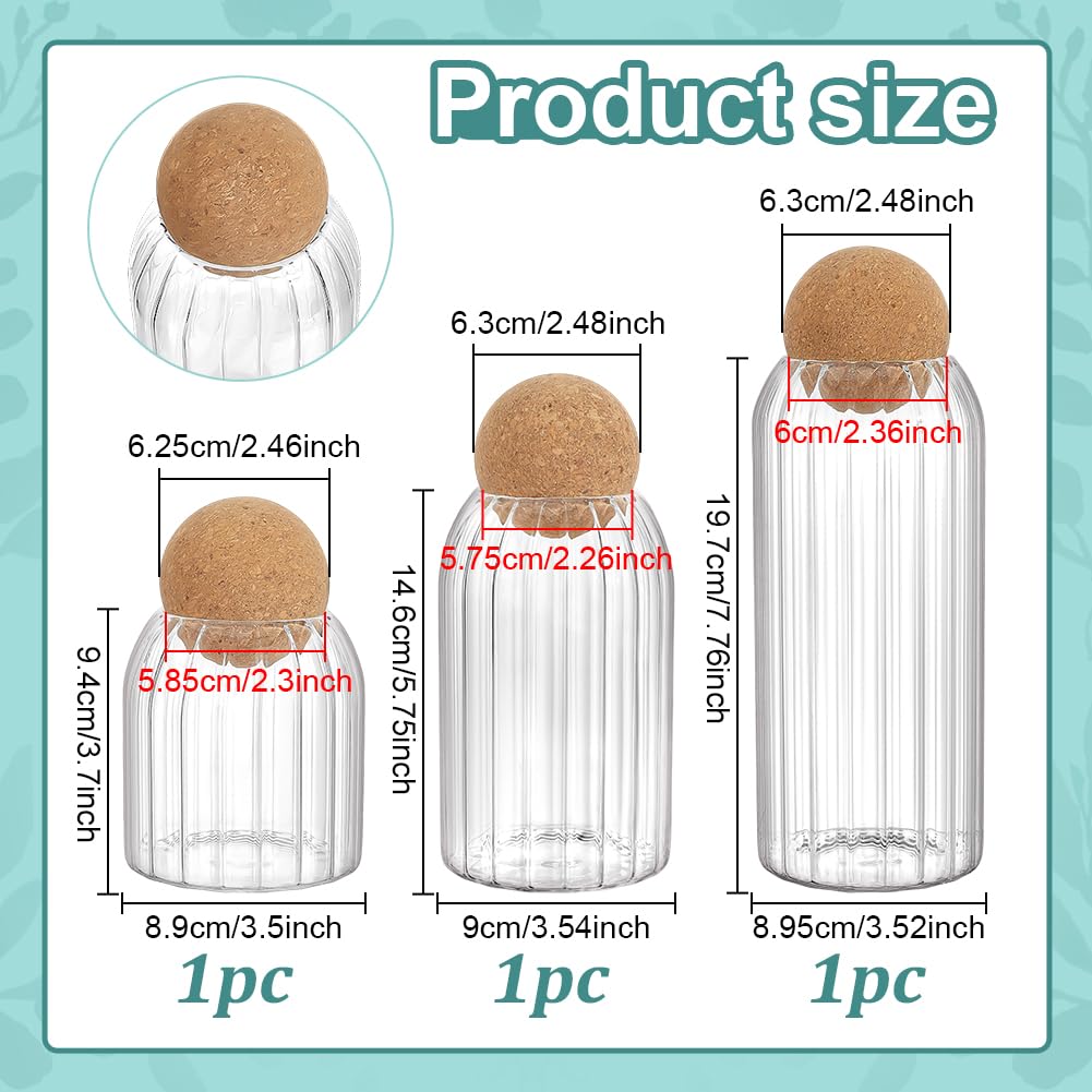 PH PandaHall 3pz Barattoli di Vetro con Tappo a Sfera in Sughero Contenitori Trasparenti con Coperchio in Legno, 3 Dimensioni Barattoli in Vetro per Cucina Biscotti Caramelle Caffè Zucchero Riso