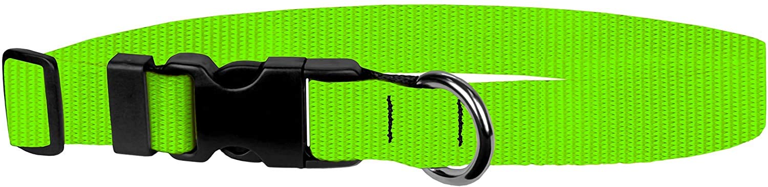 Dog Collar - Colored Adjustable Pet Collars, 3/4 Inch Wide, Small, Hot Green