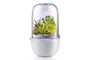 Smart Venus Fly Trap Terrarium Kit for Your Unique Greenery Needs