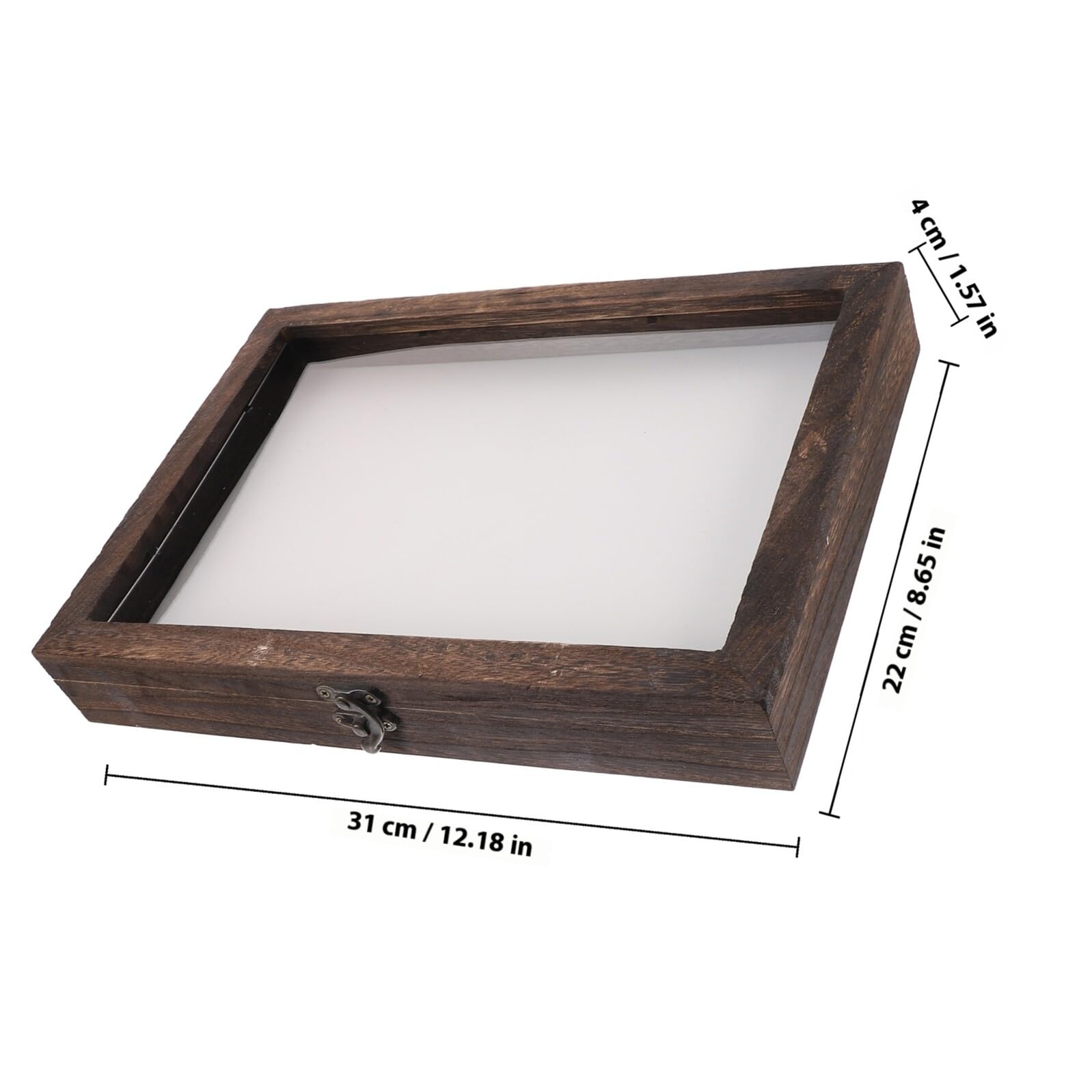 Espositore per Collezione e Decorazione da in Legno con Coperchio Trasparente , Vetrina Protettiva Anti Polvere per e Farfalle