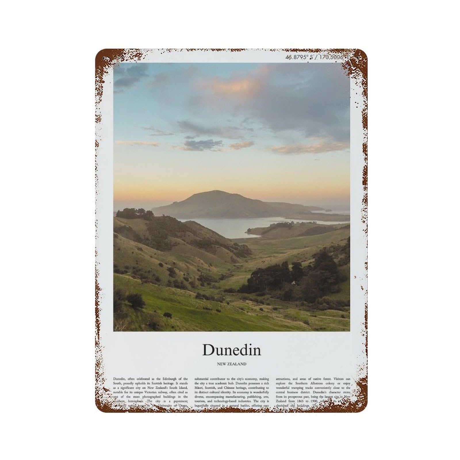 xiaoxiaoshen Dunedin New Zealand City Scenery Wall Decor Art Metal Tin Poster Modern Home Decor Art Home Bar Shop Decorations Vintage Sign 40x30cm