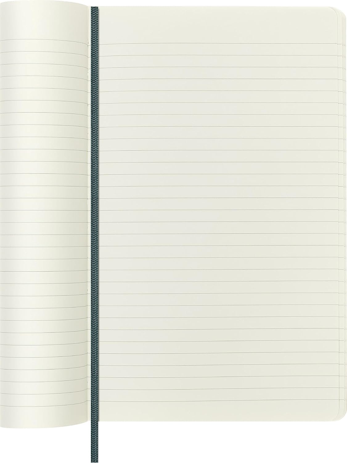 Moleskine Precious & Ethical notatnik z pudełkiem prezentowym, wegańska miękka okładka o wyglądzie pytona, elastyczne zamknięcie, kolor zielony, duży rozmiar 13 x 21 cm
