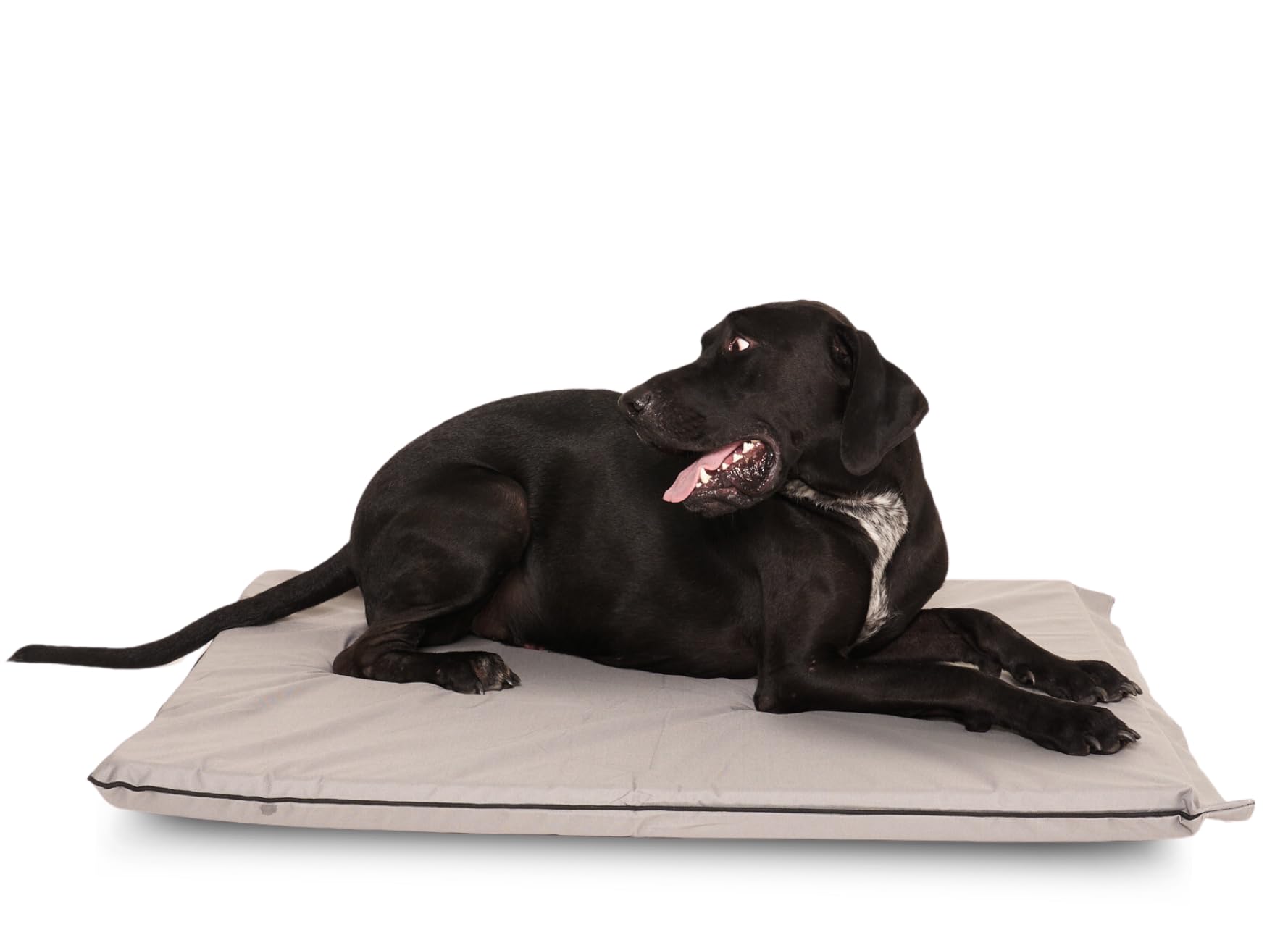 AATH COLLECTION Dog Bed Large Orthopaedic Waterproof Puppy Bed Cushion Mattress – Dog Mat Outdoor with Washable & Removable Zipped Cover (Large (95 x 95 x 6cm), Grey)