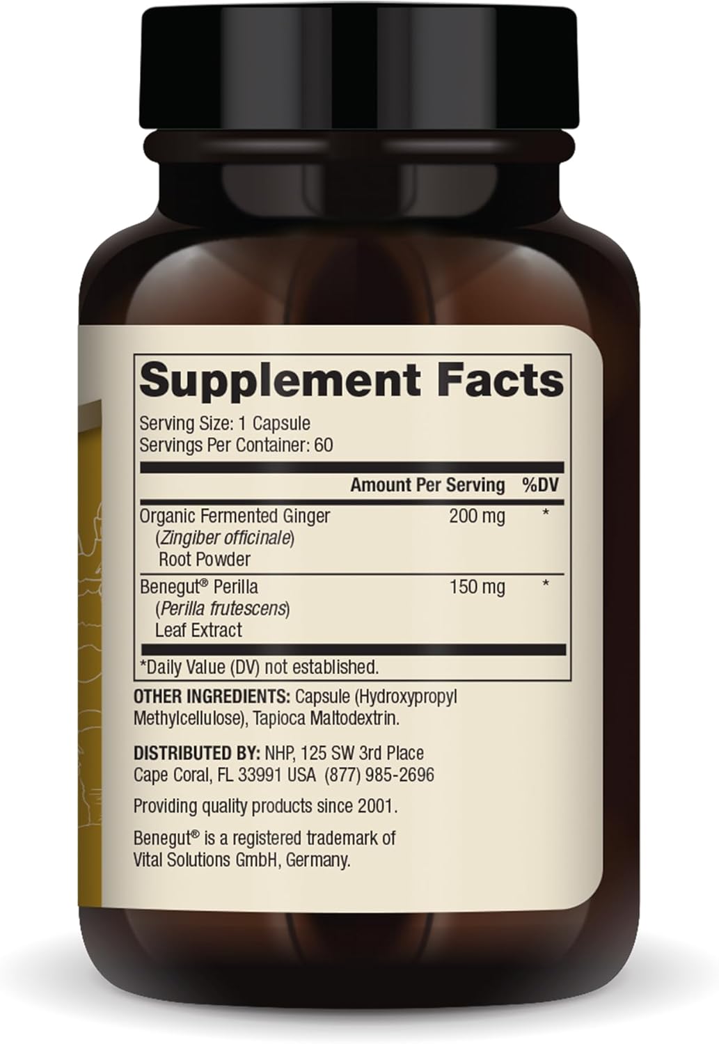 Dr. Mercola Fermented Ginger with Benegut - Supports Digestive & Gut Health - Aids Occasional Gas, Bloating & Discomfort - Non-GMO, Gluten-Free & Soy-Free - 60 Capsules (60 Servings) - Image 2