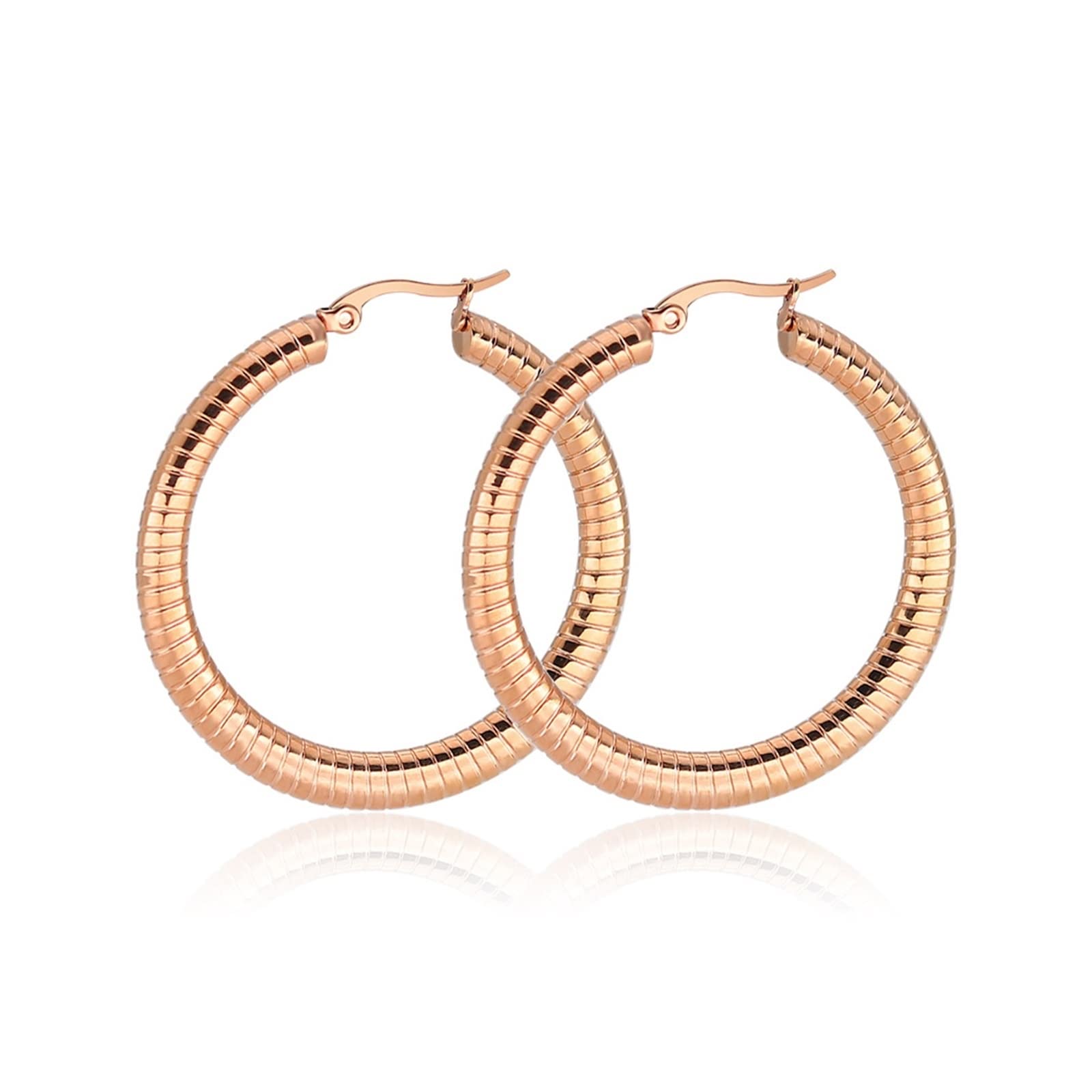 Skcess Silver Western Earrings, Stainless Steel Hoop Earrings for Women Polished Circle Bridal Earrings Jewelry Gift for Women and Girls