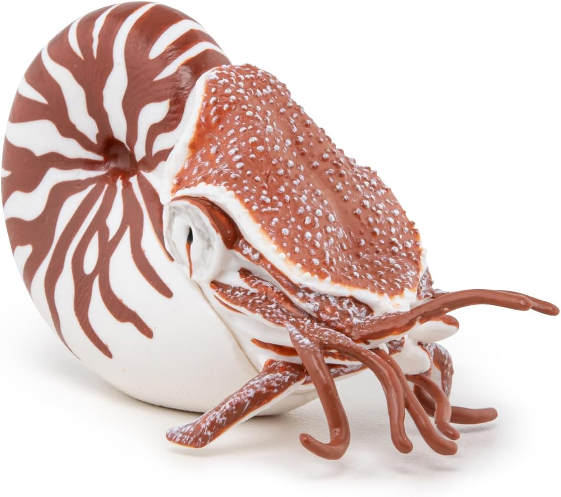 Papo - Realistic Nautilus Figure - Ages 3+ - Marine Life Collection - Educational Play Marine Creatures - Gift Idea Toy for Girls and Boys