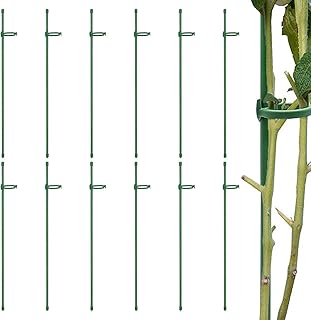 Suporte para plantas – suporte flores haste única | Suporte plantas treliça para escalada em vaso flores com clipes plantas para pequenas flores Phalaenopsis, plantas internas N/a/a