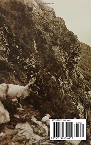 Sochaí: Community & Culture in the Edwardian Shehy Mountains