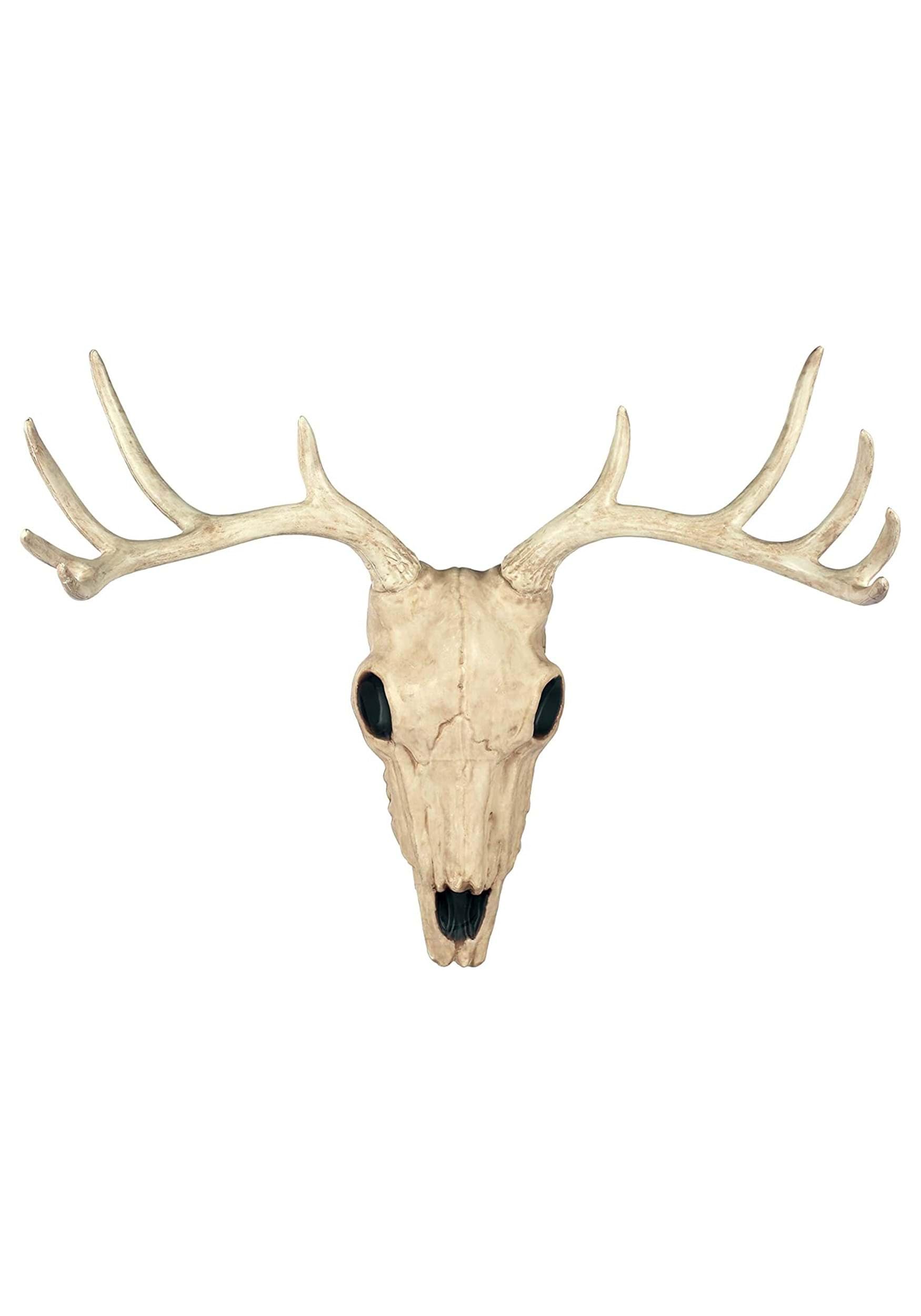 Amazon.com: Crazy Bonez Faux Taxidermy 10 Point Buck Deer Skull