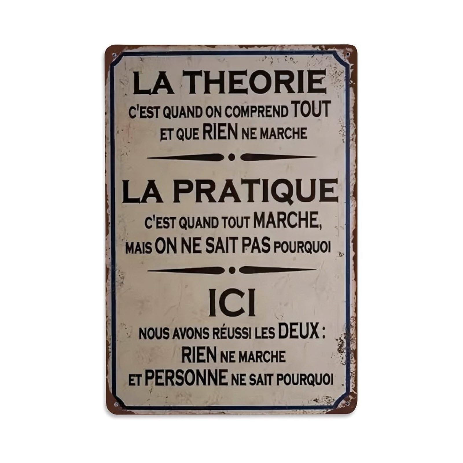 French Funny Theory & Practice Vintage Wall Sign Vintage Aluminium Metal Sign, Retro Wall Decor for Home, Bar, Garage & Farmhouse 30x20cm